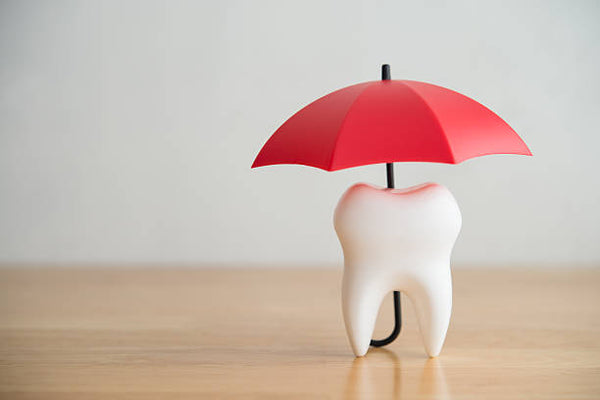Why Your Oral Care Routine Needs a Sustainable Upgrade